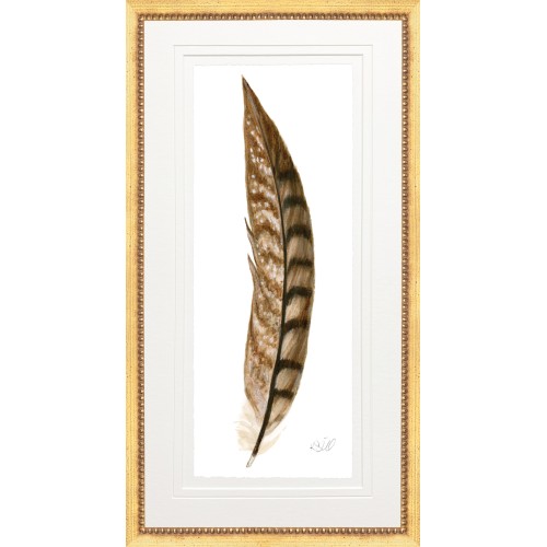 KS- PHEASANT FEATHER 4